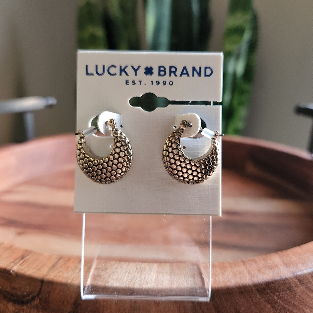 Lucky brand earrings
